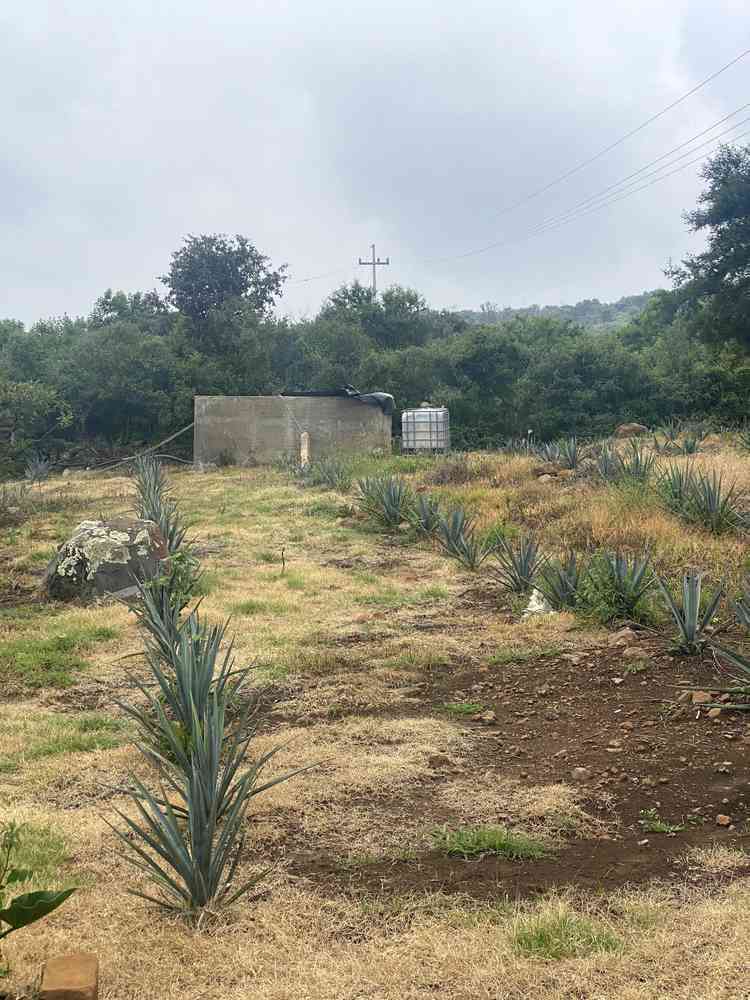 terreno en venta l zacoalco de torres centro zacoalco de torres jalisco pmiPfjT