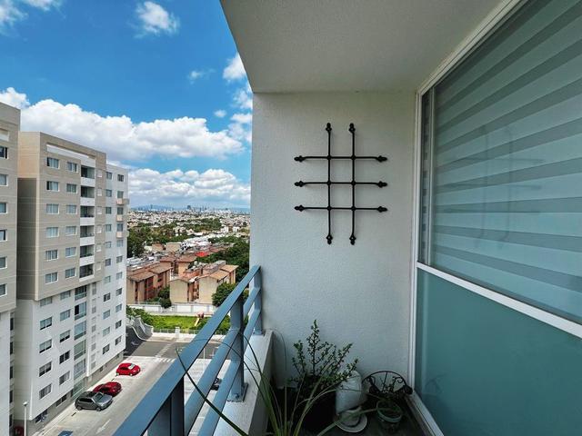Foto de la galeria de imagenes
