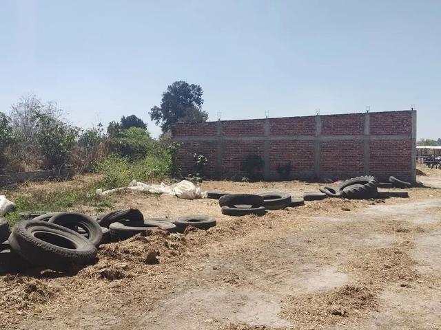 Foto de la galeria de imagenes