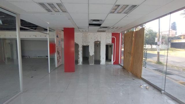 Foto de la galeria de imagenes