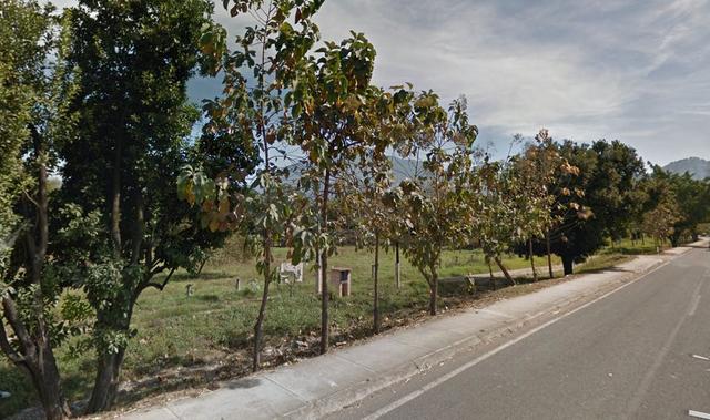 Foto de la galeria de imagenes